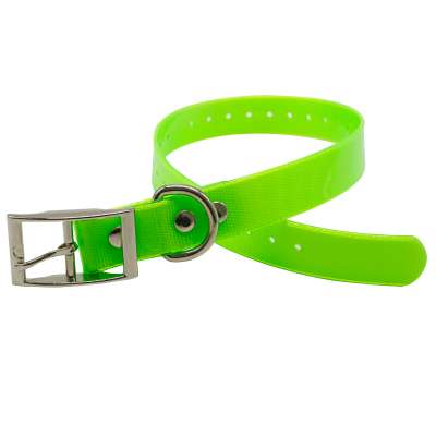 hot sale fluo TPU coated nylon webbing dog collar for deer hunting